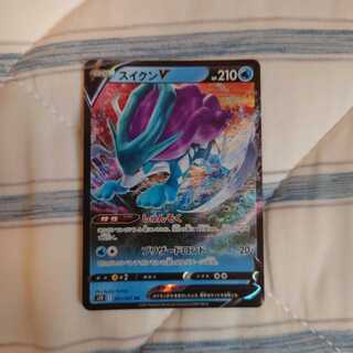 スイクンV  そら豆様専用