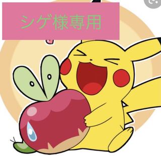 シゲ様専用　150口