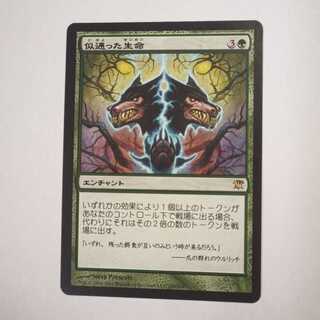 MTG　似通った生命/Parallel Lives　日本語