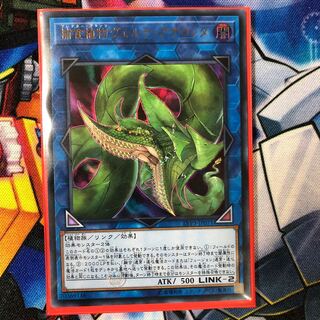 捕食植物ヴェルテ・アナコンダ