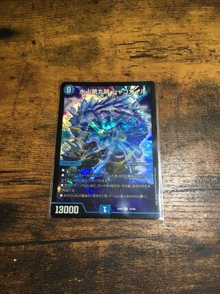 水上第九院 シャコガイル