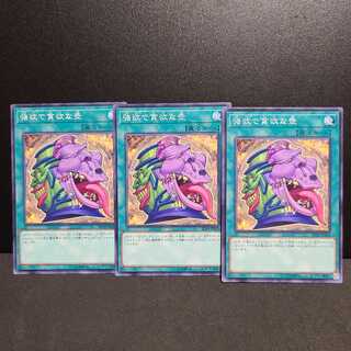 強欲で貪欲な壺【ノーマル】