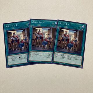 スローライフ ノーマル