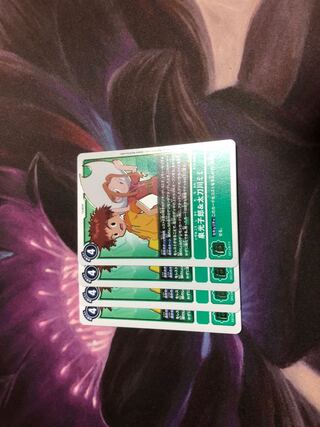 BT5泉光子郎&太刀川ミミ4枚セット