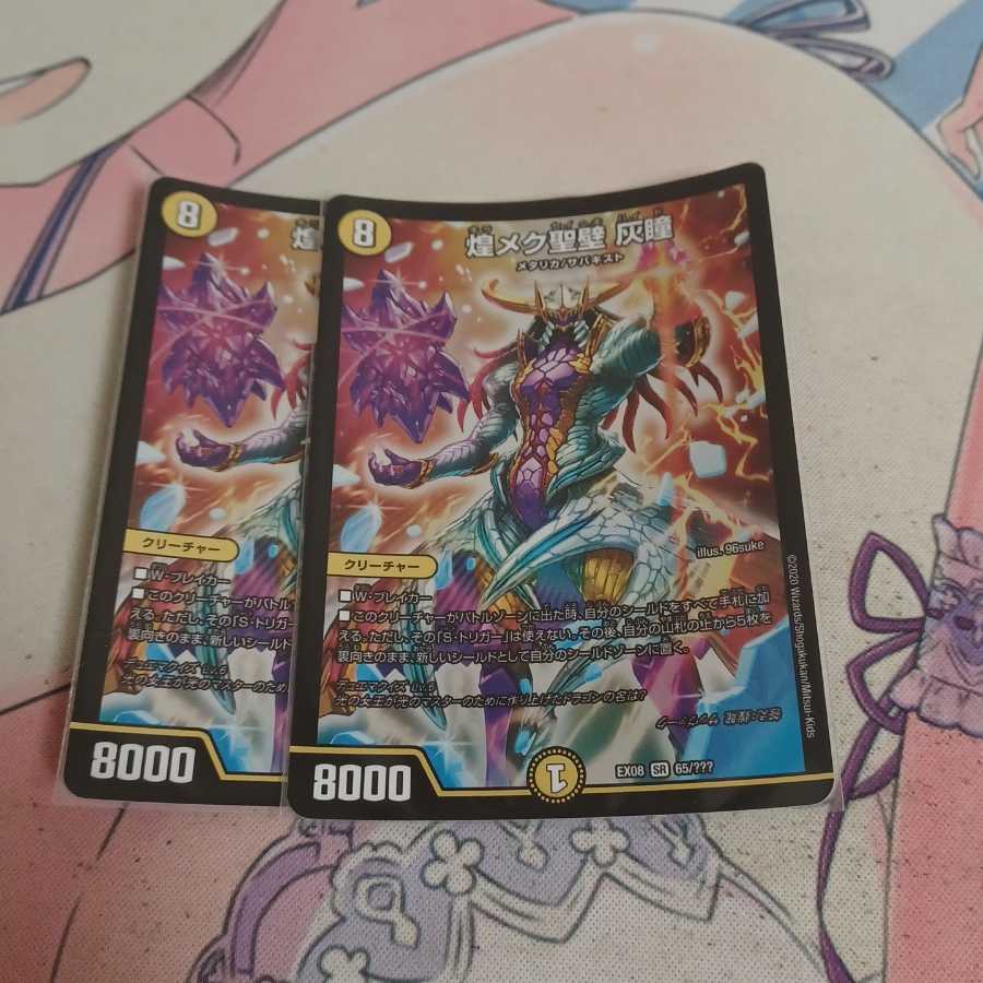 煌メク聖壁 灰瞳