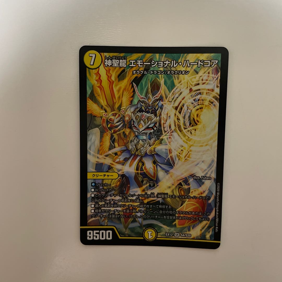 神聖龍 エモーショナル・ハードコア