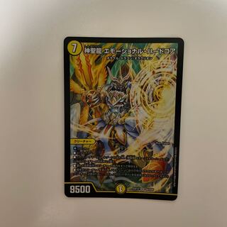 神聖龍 エモーショナル・ハードコア