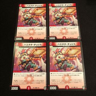 ハエタタ・チュリス