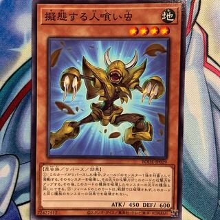 【N】擬態する人喰い虫 1枚 BODE-JP029