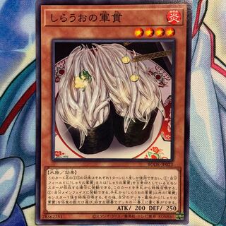 【N】しらうおの軍貫 1枚 BODE-JP023