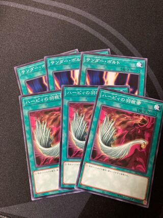 ハーピィの羽根帚 サンダー・ボルト