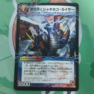 シャチホコカイザー