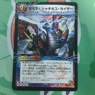 シャチホコカイザー