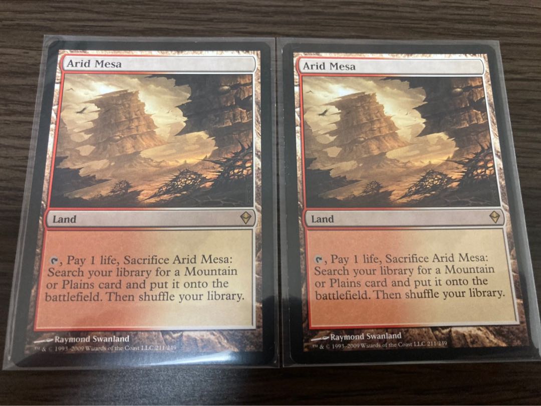 【値下げ中！】乾燥台地　ゼンディガー英語版　2枚セット