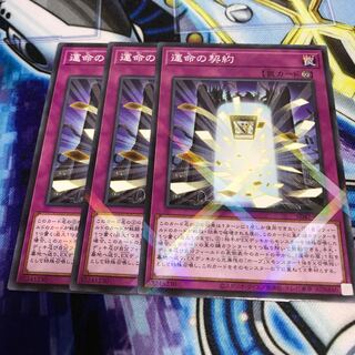 運命の契約　Hulu 304