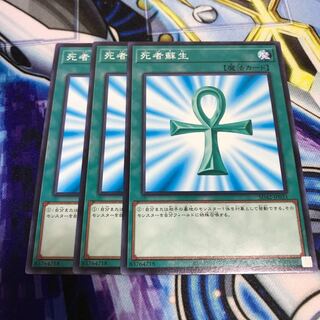 死者蘇生 ノーマル　Hulu 306