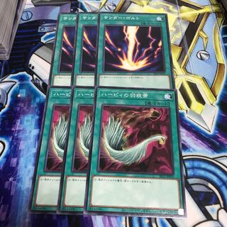 ハーピィの羽根帚 サンダー・ボルト　セット　Hulu 310 316 351