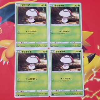 タマゲタケ モロバレル