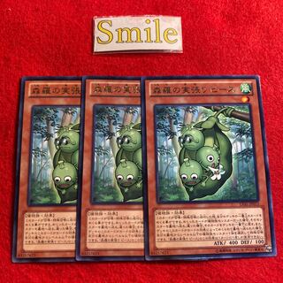 森羅の実張り ピース#1728