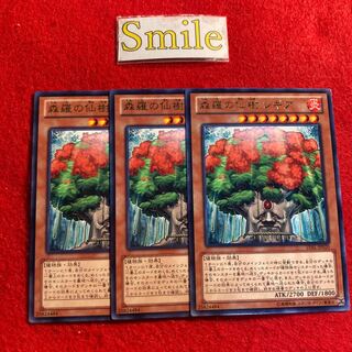 森羅の仙樹 レギア#1730