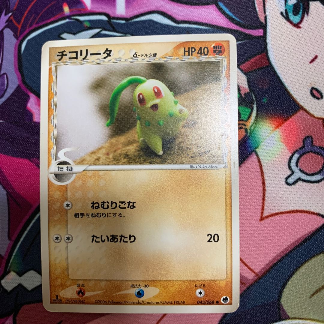 チコリータδ種