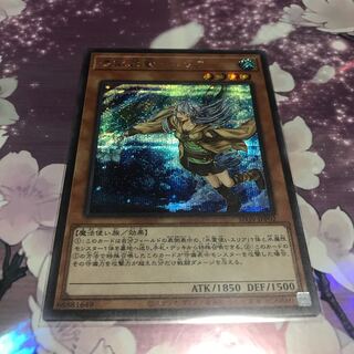 憑依装着-エリア　SE シークレット