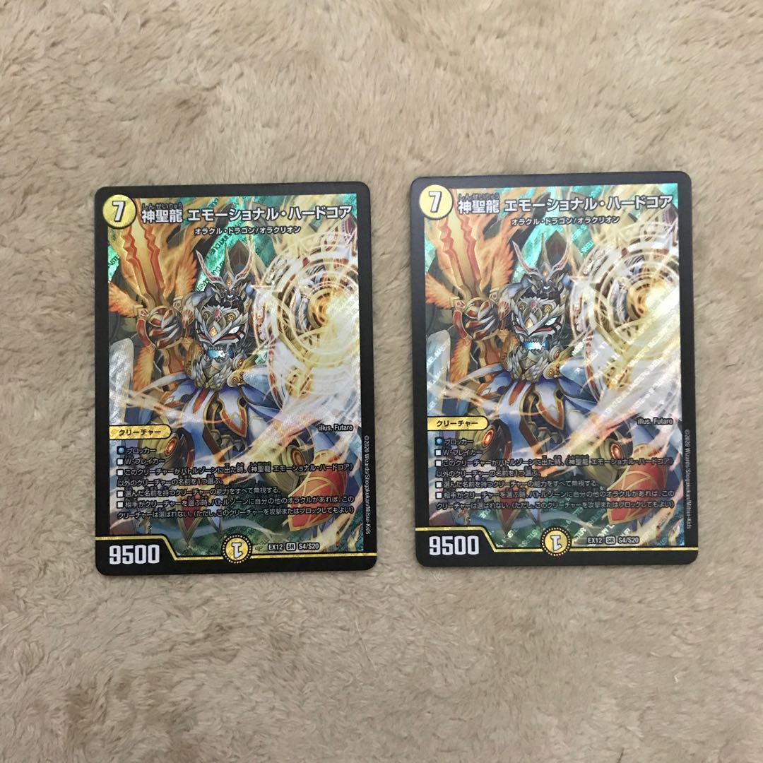 神聖龍 エモーショナル・ハードコア SR