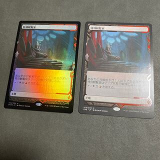 特別観覧室 日本語版エクスペディション セット