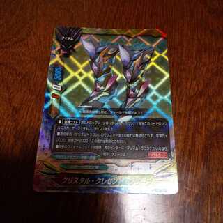 Qu Squirrel Tal Crescent Glebe