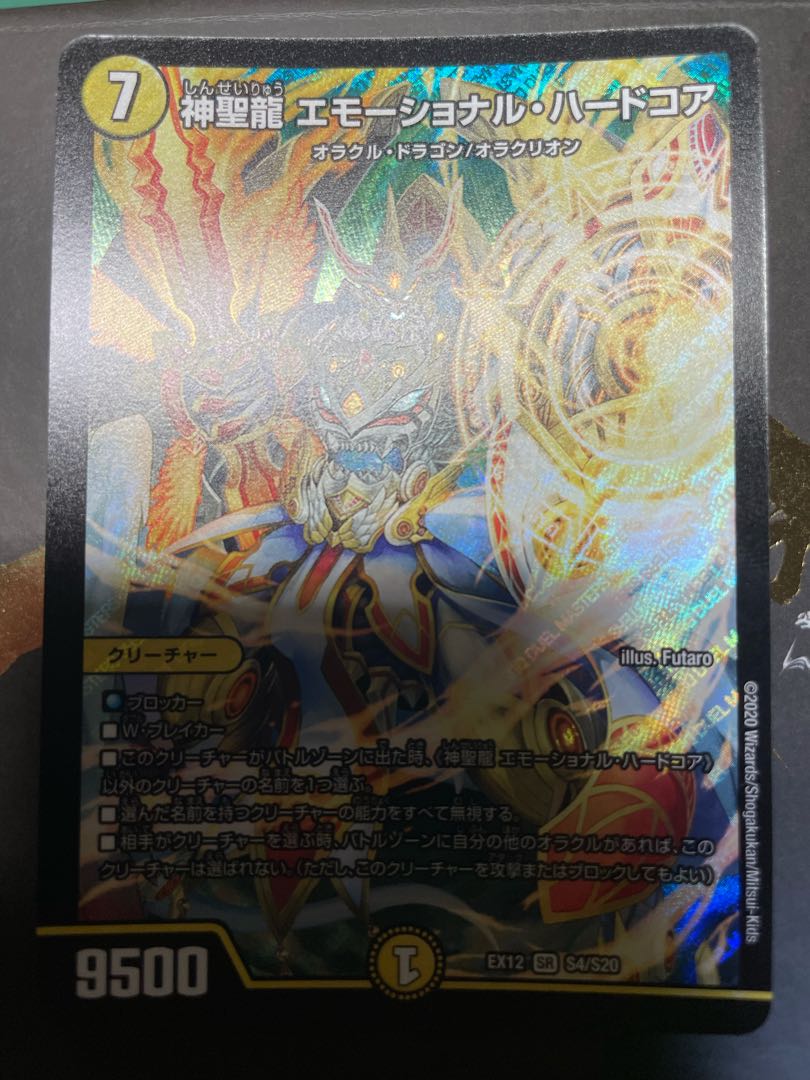 神聖龍 エモーショナル・ハードコア