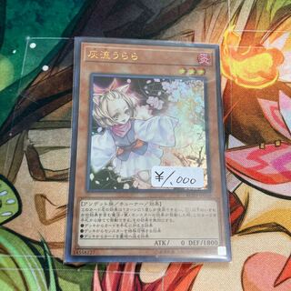 灰流うらら(既存イラスト) ウルトラレア　1枚