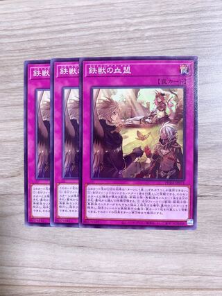 鉄獣の血盟 ノーマル　3枚♡おまけ付き♡