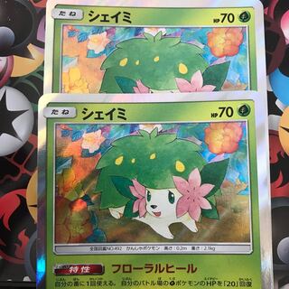 シェイミ 2枚セット