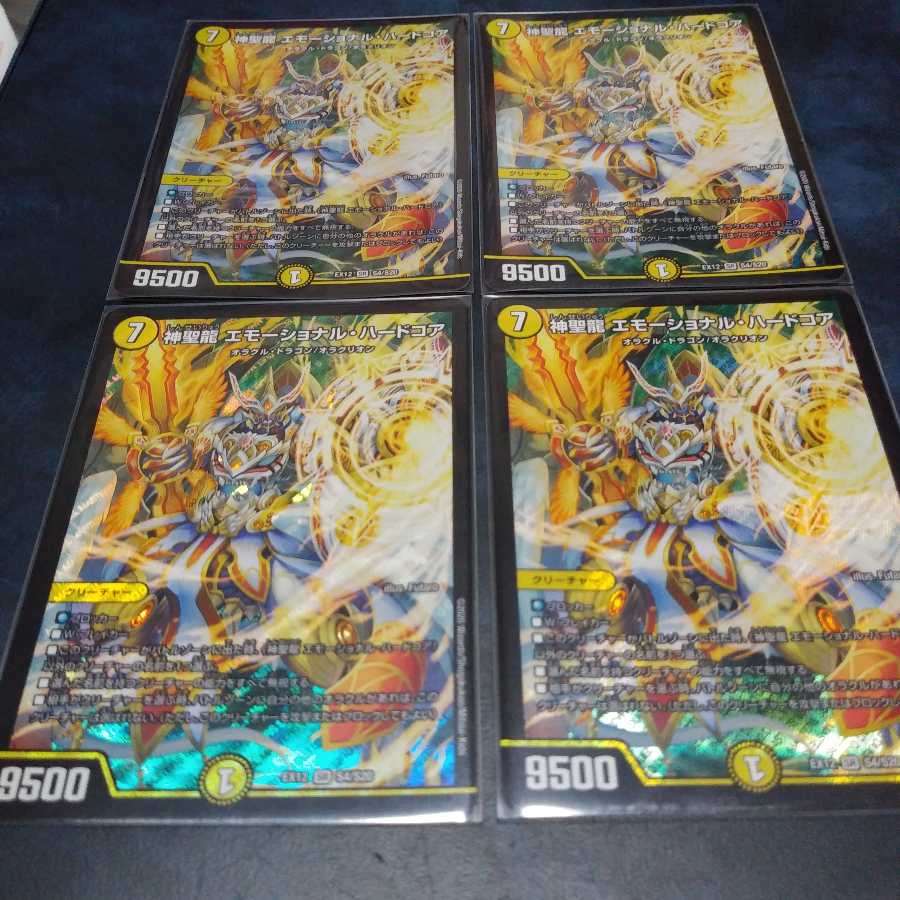 神聖龍 エモーショナル・ハードコア