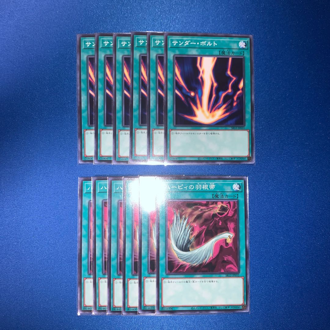 ハーピィの羽根帚　サンダーボルト12枚