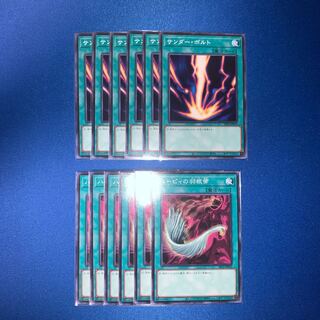 ハーピィの羽根帚　サンダーボルト12枚