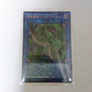 遊戯王 捕食植物ヴェルテアナコンダ