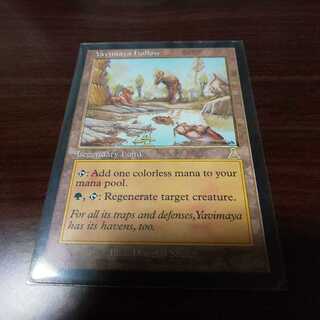 ヤヴィマヤのうろ穴