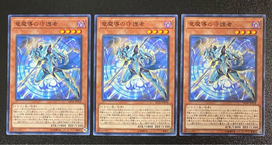 竜魔導の守護者 3枚