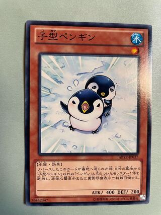 子型ペンギン ノーマルレア