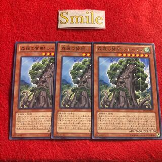 森羅の賢樹 シャーマン#1746