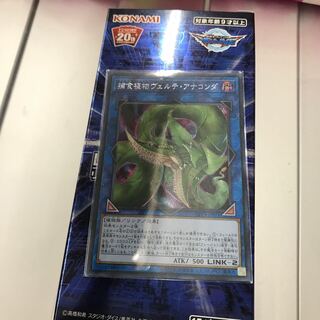 捕食植物 ヴェルデ・アナコンダ シク