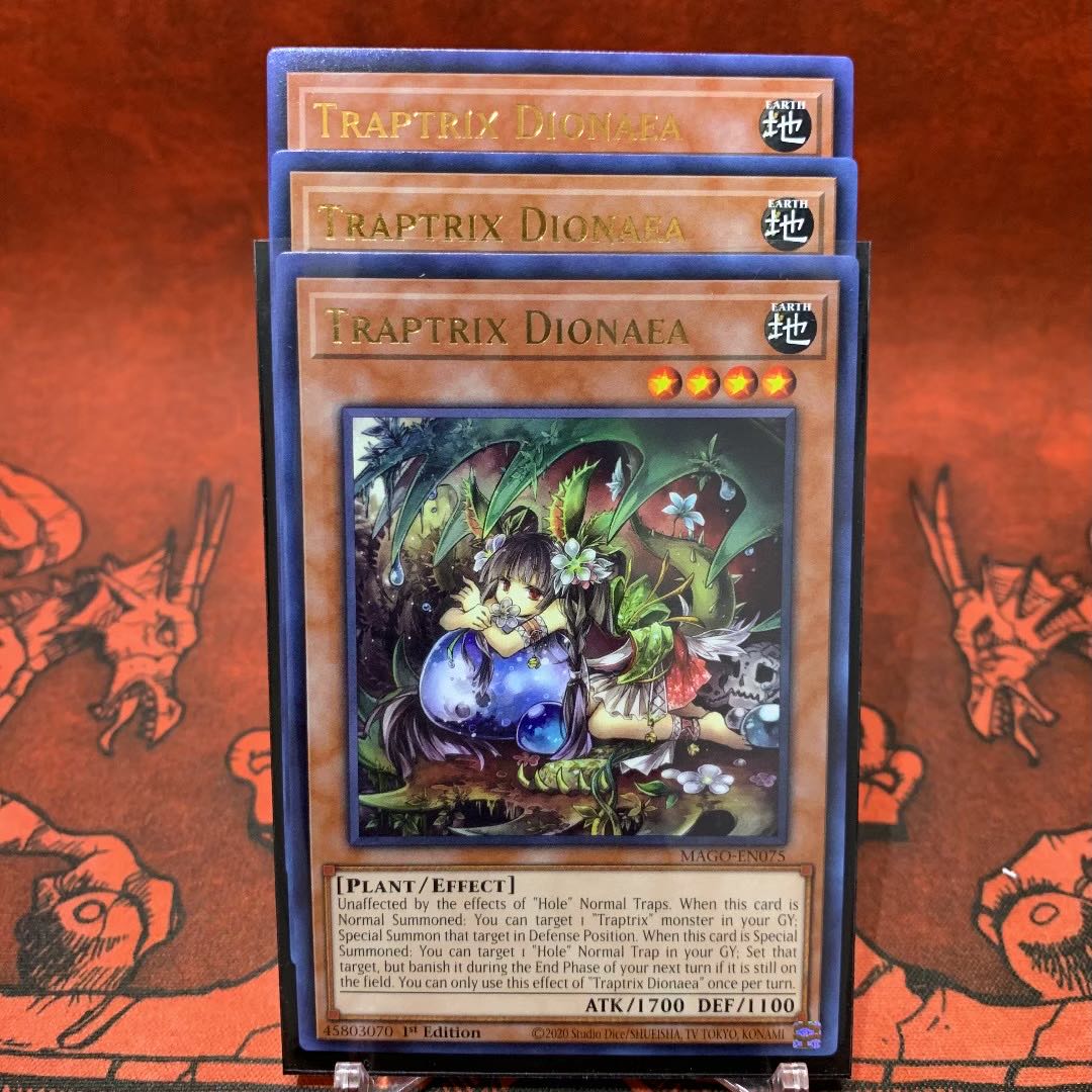 遊戯王【英語版】ティオの蟲惑魔 ゴールドレターレア