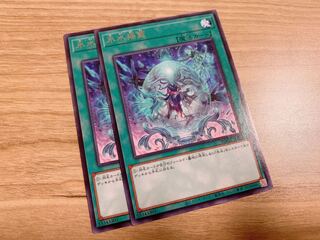 氷水揺籃　2枚　♡おまけ付き♡