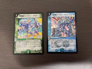 ひーちゃん様　専用