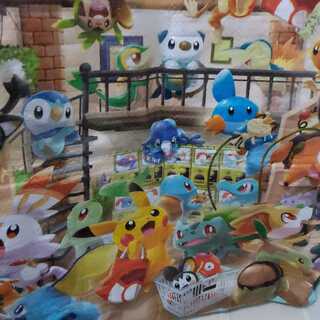 タッグオールスター１ボックス未開封　　リザードン色違いスリーブ