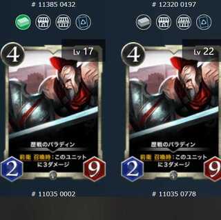 歴戦のパラディン ２枚セット