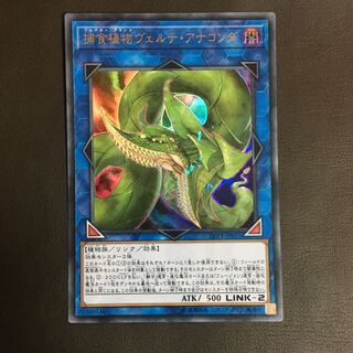 遊戯王　捕食植物　ヴェルテ・アナコンダ
