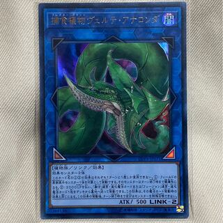 捕食植物ヴェルテ・アナコンダ