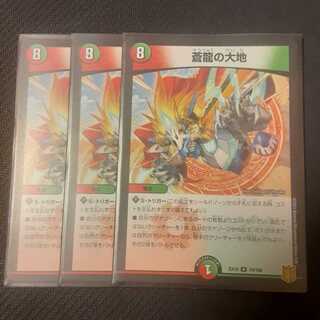 蒼龍の大地 3枚